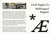 Ascella Pixel, a Serif Font by Craft Supply Co. (Thumbnail 6 of 8)
