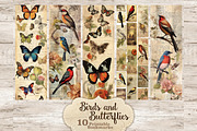 Vintage Birds And Butterflies, an Animal Illustration by GlamArtZhanna (Thumbnail 1 of 3)