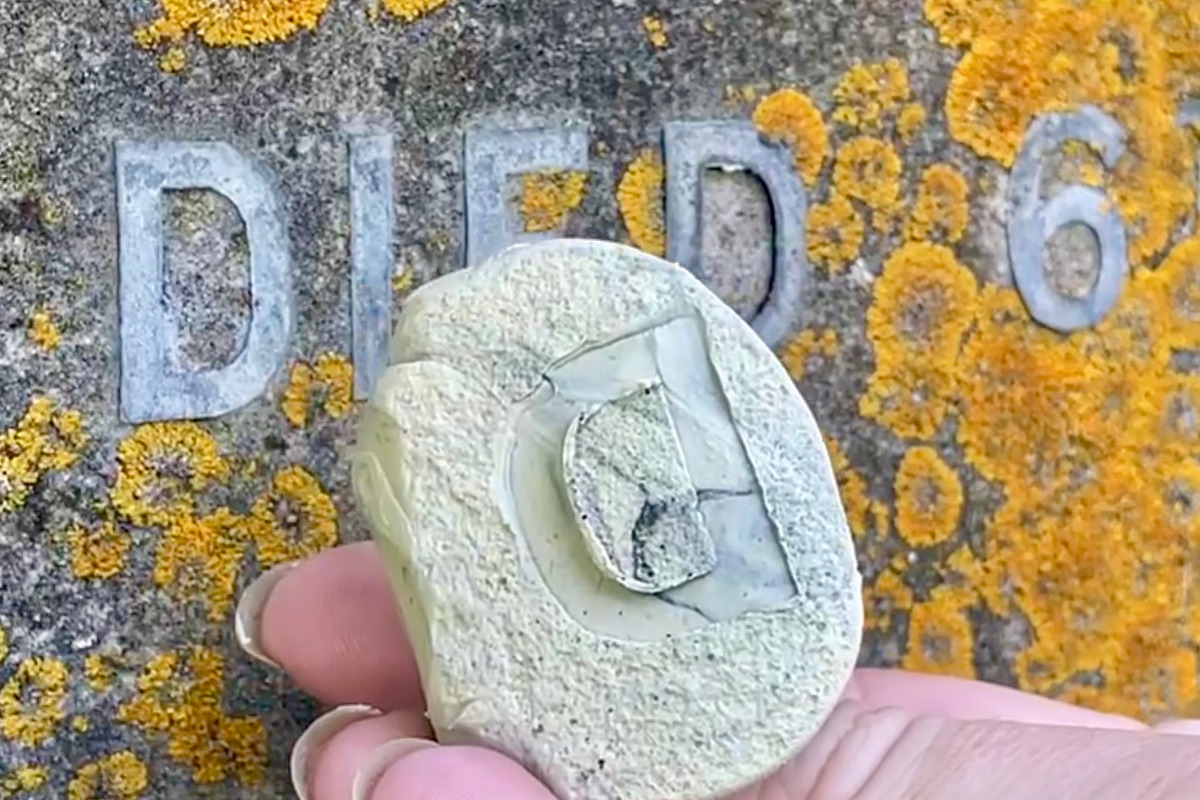 Vestige Gravestone Display Typeface, a Blackletter Font by Claire Wilde Designs (Photo 7 of 7)