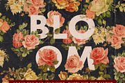 20 Old Paper Textures, a Texture Graphic by Spoon Graphics (Thumbnail 3 of 3)
