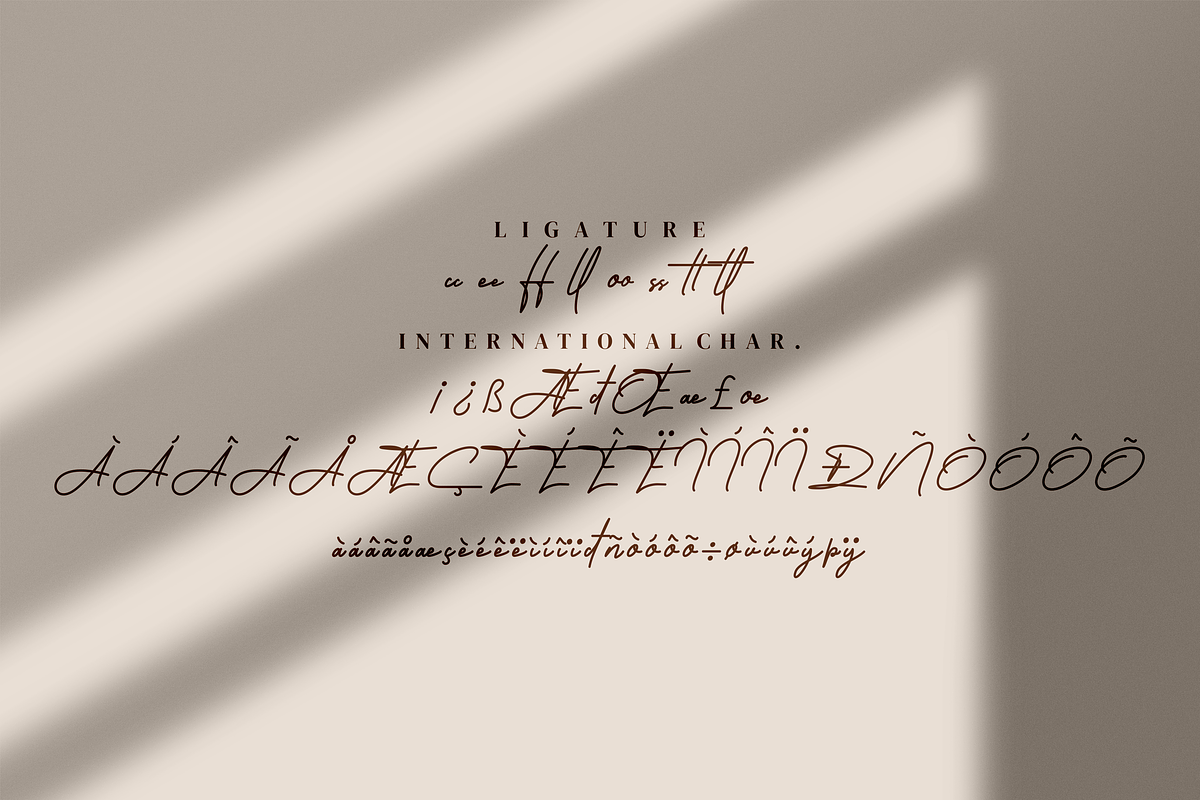 Alatheen Monoline Script style font, a Script Font by mahstudios (Photo 4 of 8)