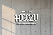Hicozu | Sophisticated Modern Serif