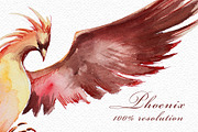 Watercolor Phoenix Clipart Set, an Animal Illustration by ArtCreationsDesign (Thumbnail 4 of 6)