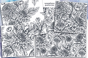 Chrysanthemum vector set, a Decorative Illustration by Molly art (Thumbnail 7 of 11)