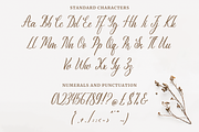 Emiliana a Modern Calligraphy Font, a Script Font by Fatmawati (Thumbnail 10 of 12)