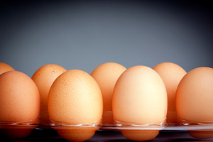 Eggs, a Food & Drink Photo by THP Creative