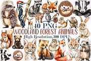 Woodland Clipart Forest Animals Set, an Illustration by Sublimation Artist (Thumbnail 1 of 6)
