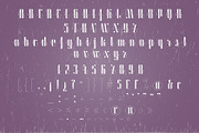 Roadster font family + Extras, a Script Font by Fontop (Thumbnail 21 of 26)
