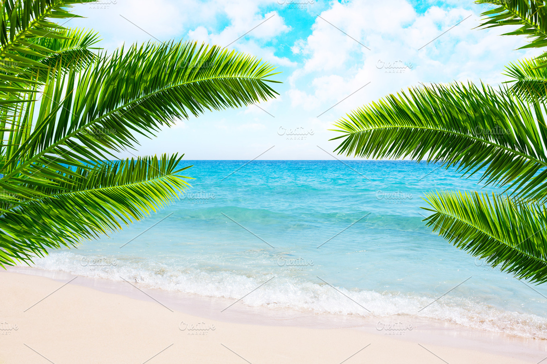Tropical beach and palm trees., a Nature Photo by odpium