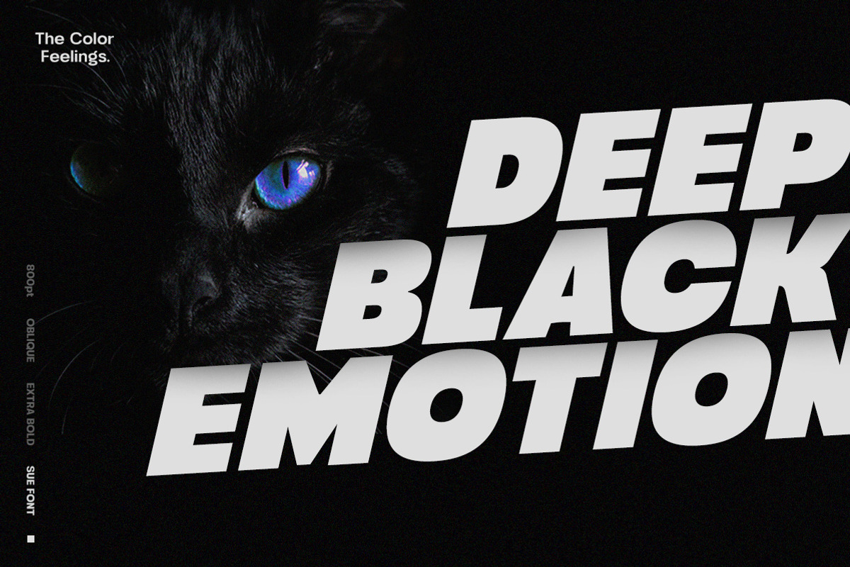 Sue - Variable & Family Sans Serif, a Sans Serif Font by Typeskets (Photo 2 of 13)