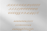 Galis Wedding Calligraphy Font, a Script Font by Creative Foundry (Thumbnail 8 of 8)