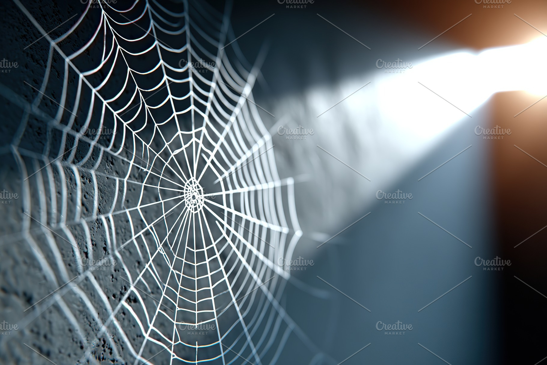 Intricate web glistens in sunlight within a dimly lit room, an Arts & Entertainment Photo by AlyaAnd