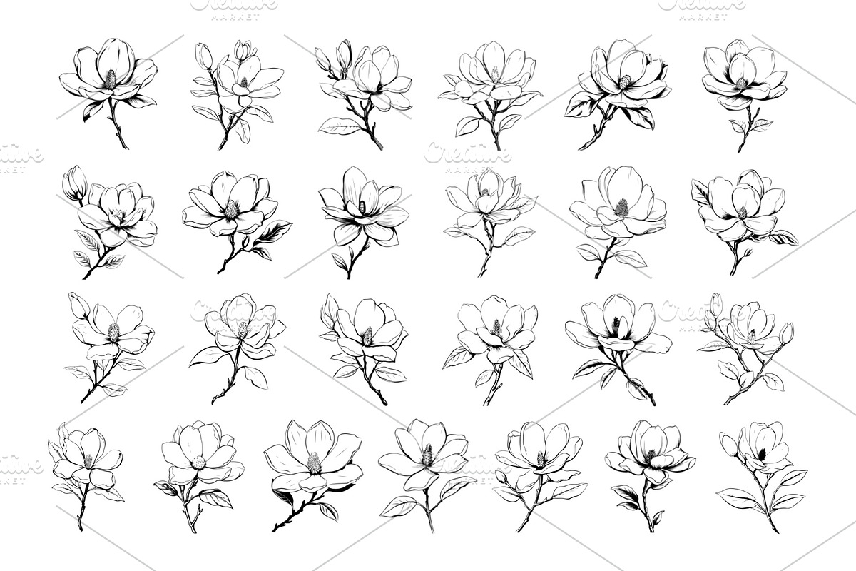 50 Magnolia Procreate Stamps Brushes, a Brush Add-On by Procreate Sale (Photo 4 of 6)