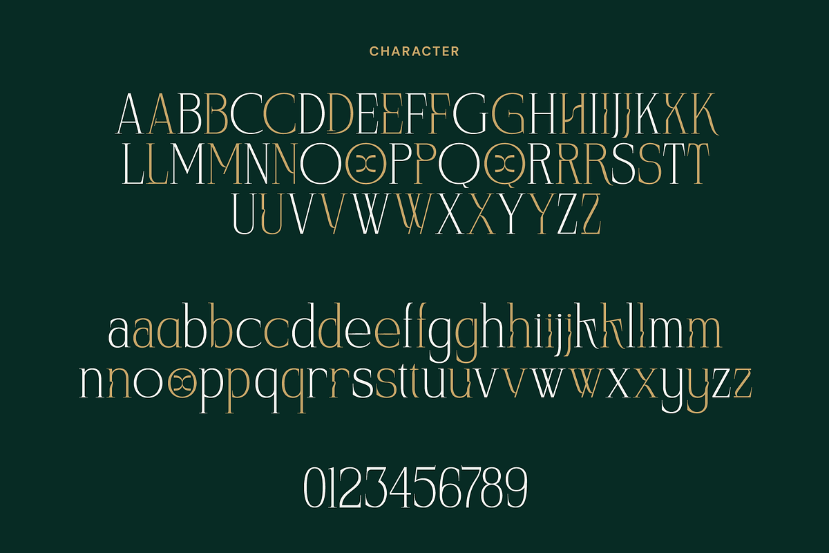 Wordstud - Luxury Serif Display Font, a Serif Font by MooneseyeType (Photo 2 of 8)