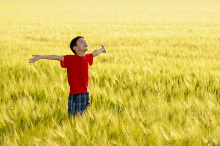 Boy standing near the tree preview 6