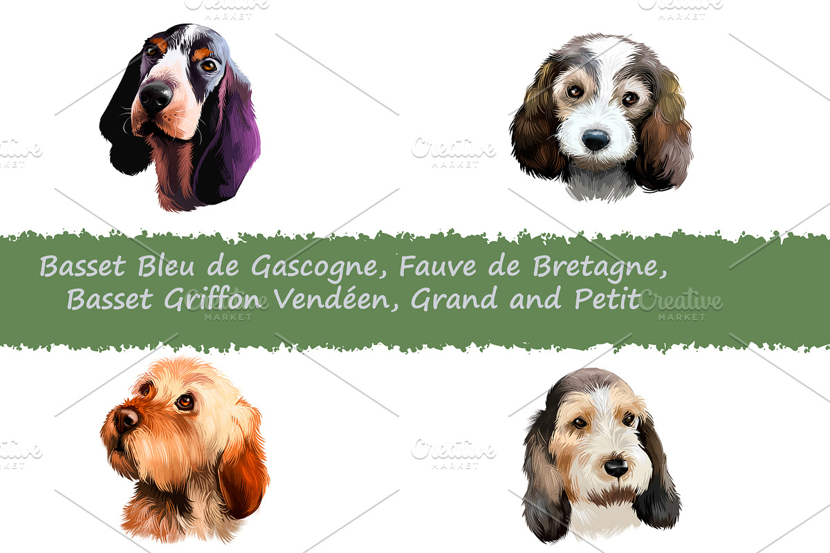 Dogs Pet Portraits Art Print Set 12, an Animal Illustration by Dneprstock