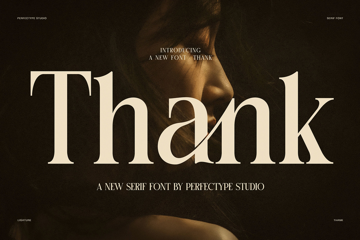 Thank Elegant Serif Font, a Serif Font by Perfectype (Photo 1 of 8)