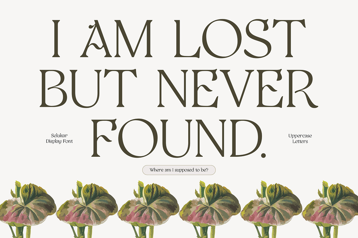 Selukar - Vintage Display Serif Font, a Serif Font by Artflorara (Photo 4 of 15)