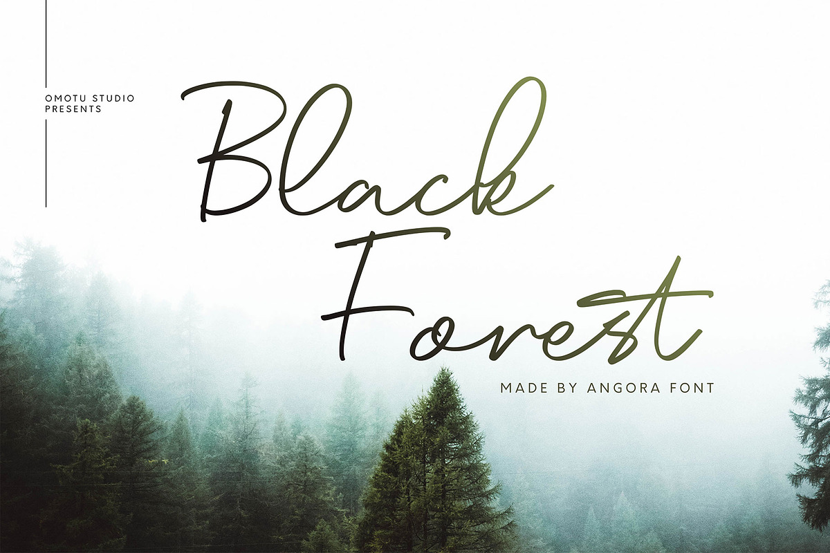 Angora, a Script Font by Omotu Studio (Photo 9 of 12)