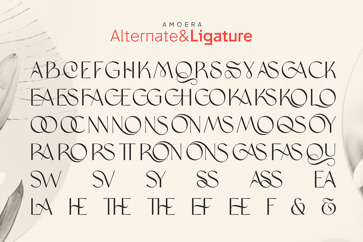 Amoera Elegant Serif Display Font, a Serif Font by Vampstudio (Photo 14 of 14)