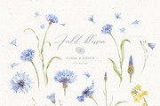 WILDFLOWERS - watercolor collection, an Illustration by Nastya.Chay (Thumbnail 11 of 12)