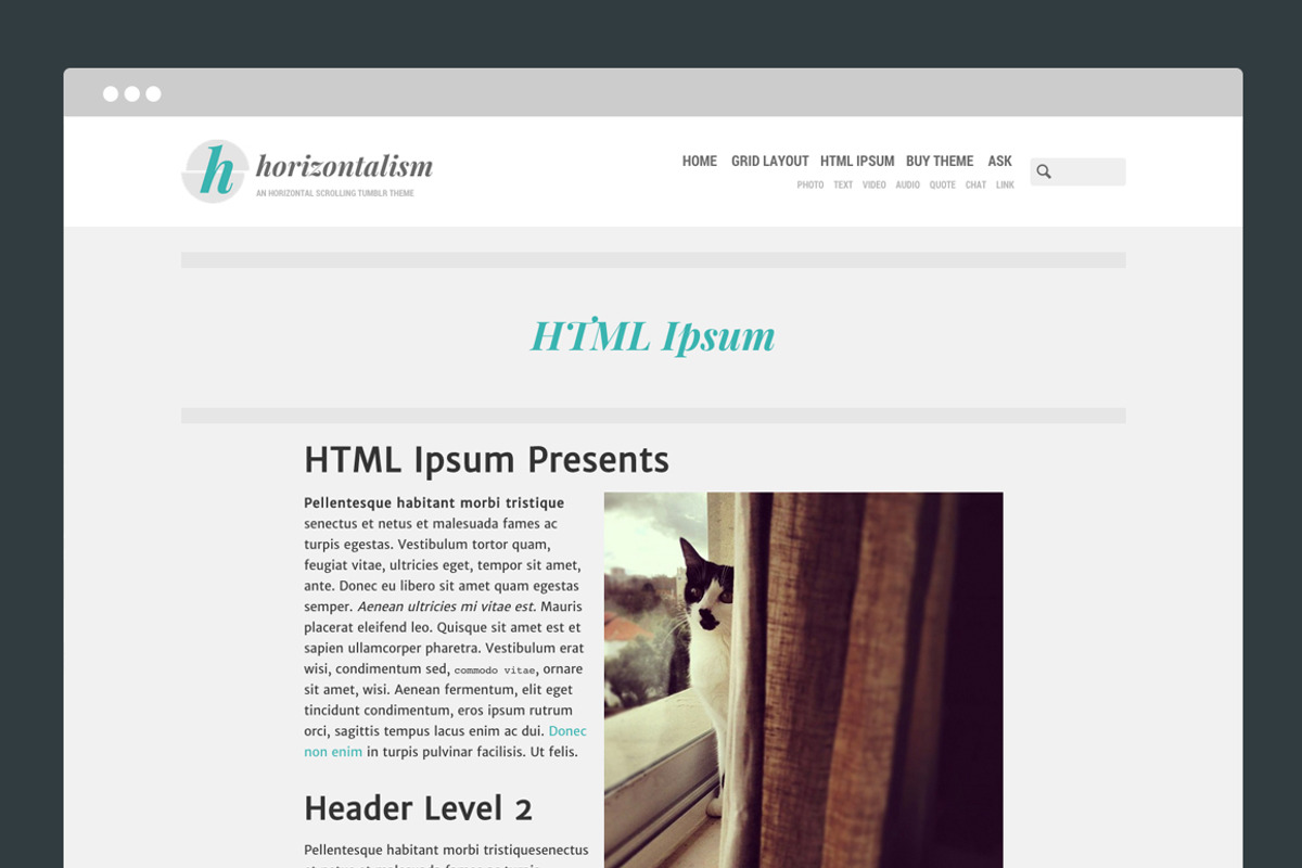 Horizontalism Tumblr Theme, a Websites & App Template by Themelantic (Photo 4 of 5)