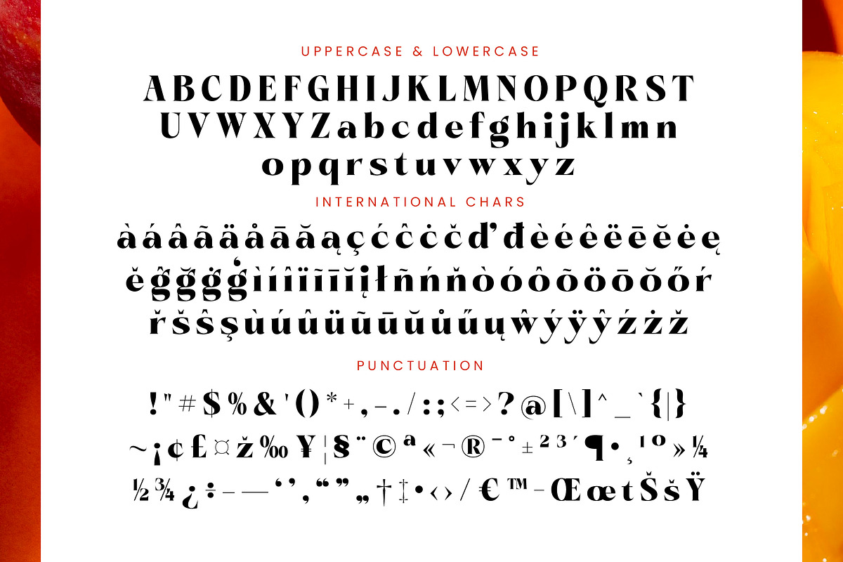 Pramid Mango Modern Display Serif, a Serif Font by timelesstype.co (Photo 19 of 20)