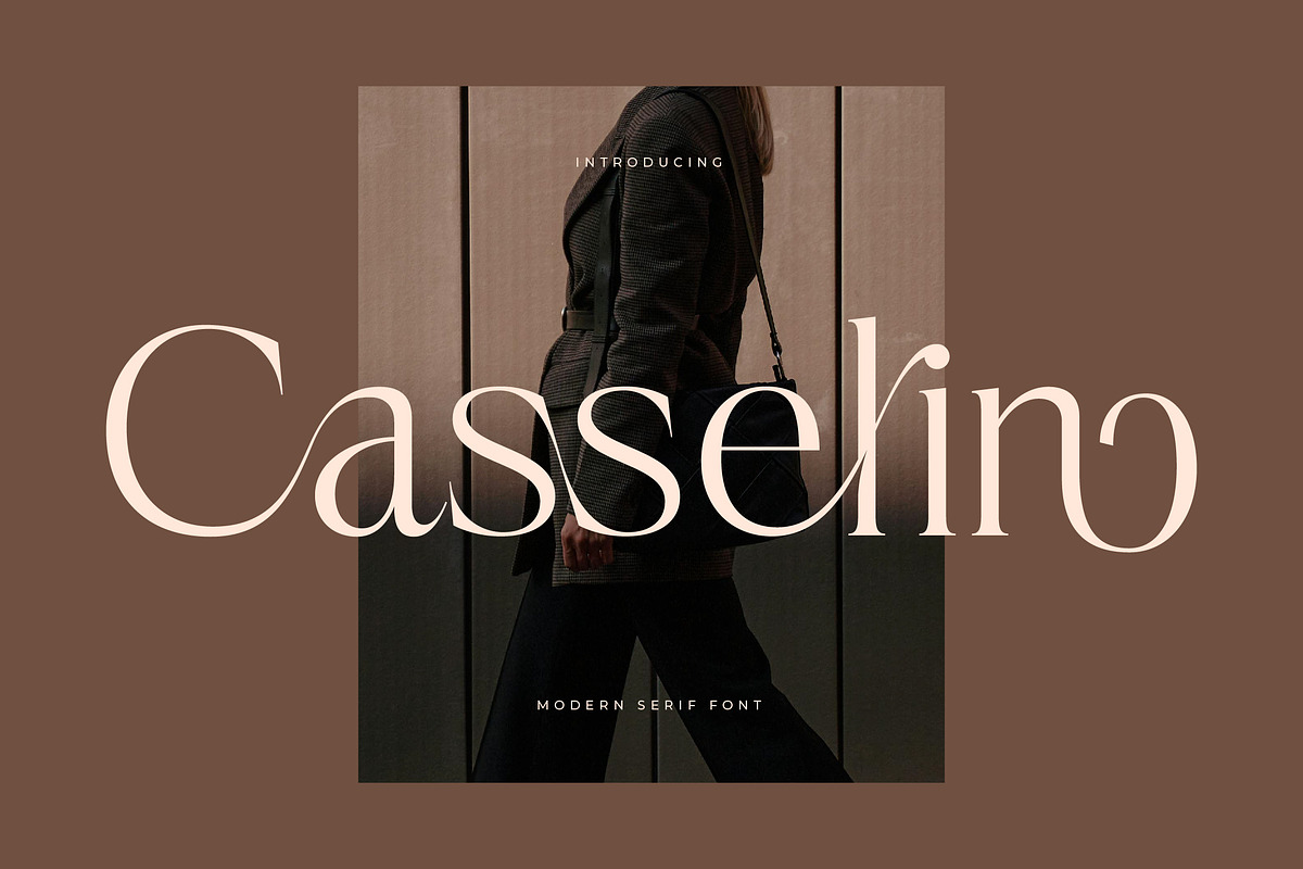 Casselin Modern Serif Font, a Serif Font by Letterena Studios (Photo 1 of 15)