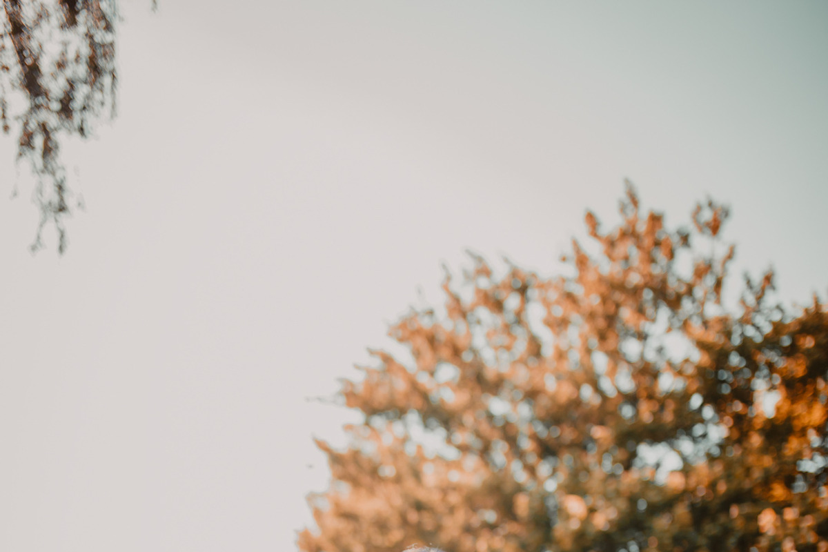 5 Film Professional Lr Presets, a Templates & Theme by ONE Click EDIT Collection (Photo 8 of 9)