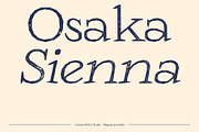 CS Daily Stamp, a Serif Font by Craft Supply Co. (Thumbnail 3 of 8)