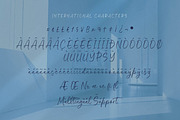 Riyanthy Selafina, a Script Font by Integritype Studio (Thumbnail 10 of 15)