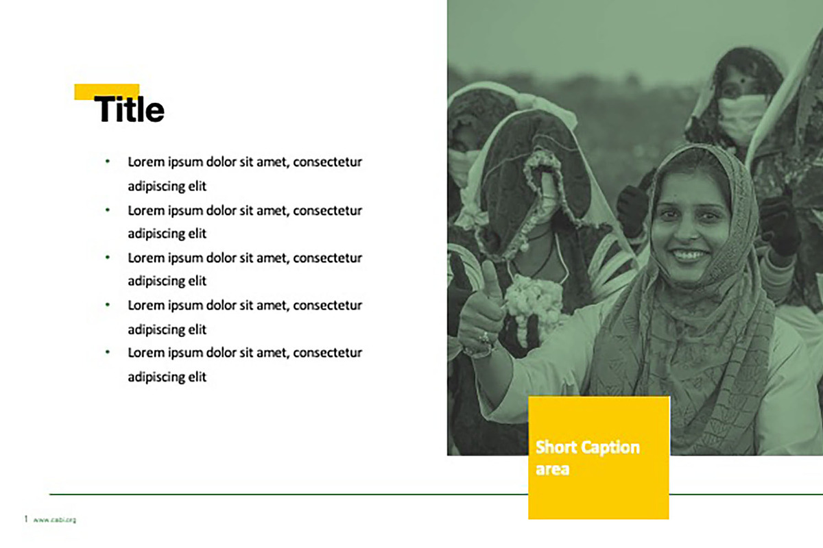 Colorful Template For Any Use, a Templates & Theme by Iconography - Pitch Deck (Photo 14 of 36)