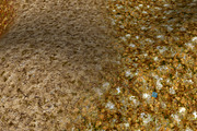 AUTUMN AND WINTER TEXTURE PACK, a Textures & Material 3D Model by Beatheart Creative Studio (Thumbnail 57 of 58)