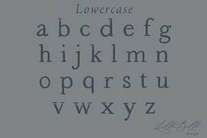 Toirneach A Rustic Serif Font