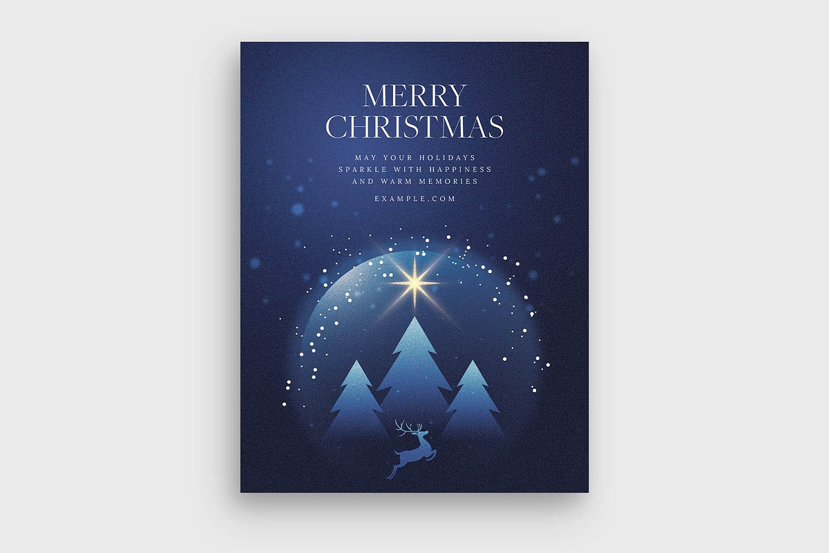 Winter Christmas Flyer Template preview 4