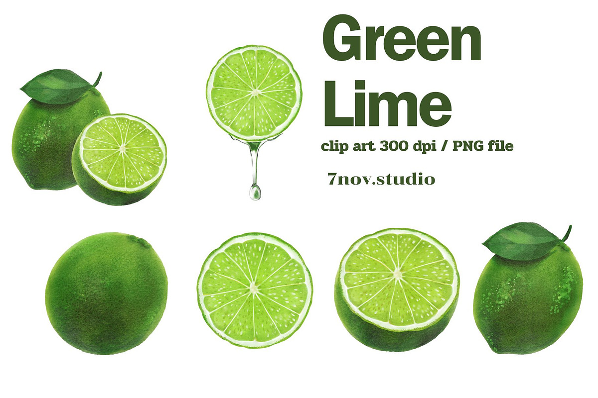 Green Lime, a Food Illustration by 7nov.studio (Photo 3 of 3)