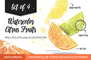 Watercolor Citrus Fruits, a Food Illustration by Curve and Pixel (Thumbnail 1 of 4)