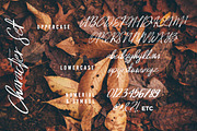 Josephine Brushes Script Font, a Script Font by Say Studio (Thumbnail 8 of 10)