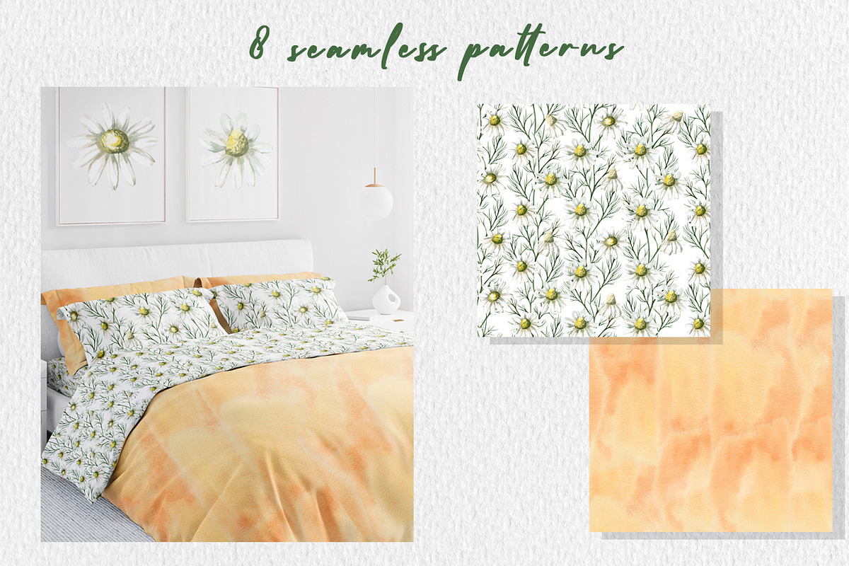 Chamomile watercolor clip art, a Decorative Illustration by SvetLana (Photo 12 of 13)