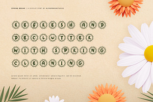 Spring Break - Decorative Font