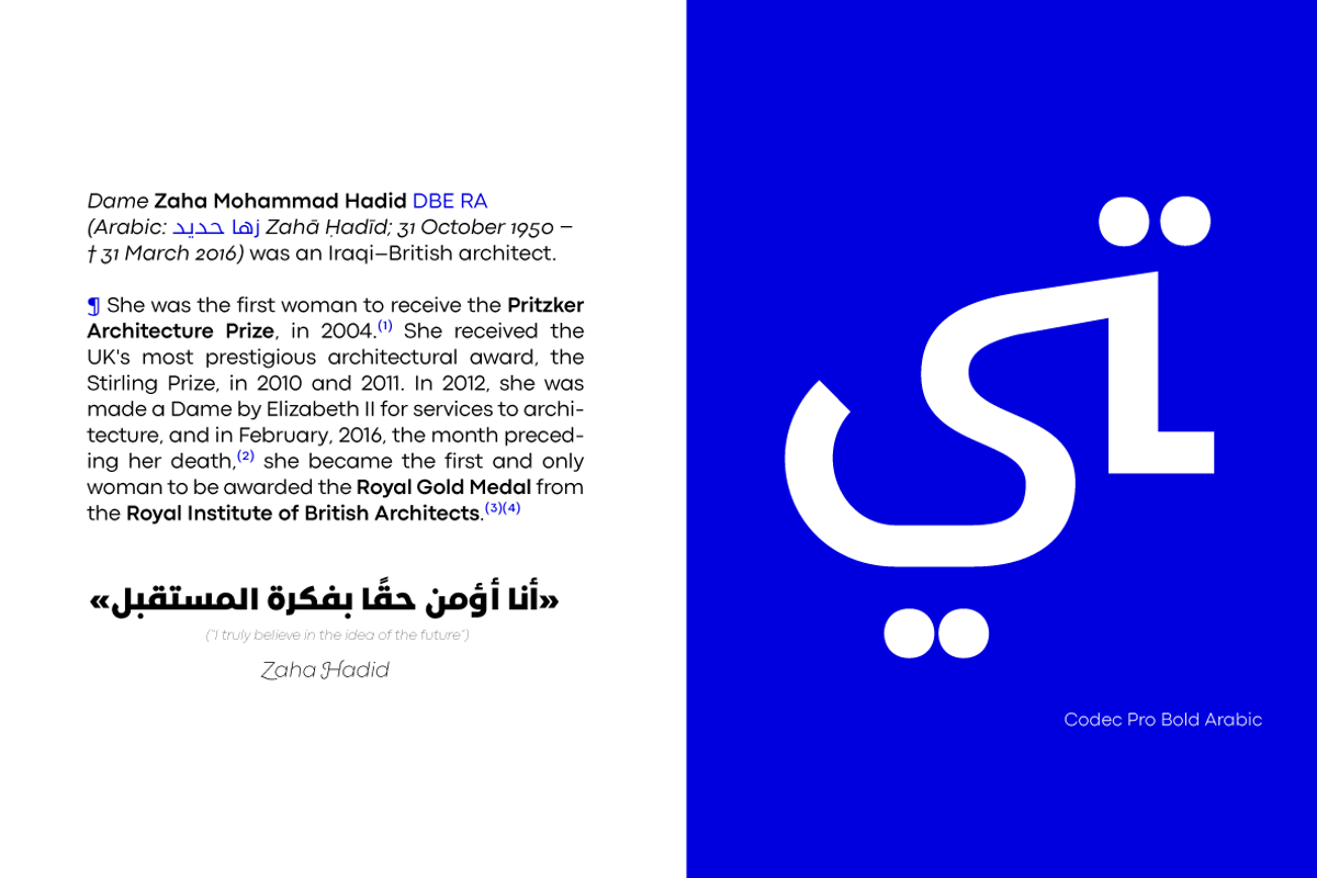 Codec Pro 22 fonts + 1 variable, a Sans Serif Font by Zetafonts (Photo 15 of 16)