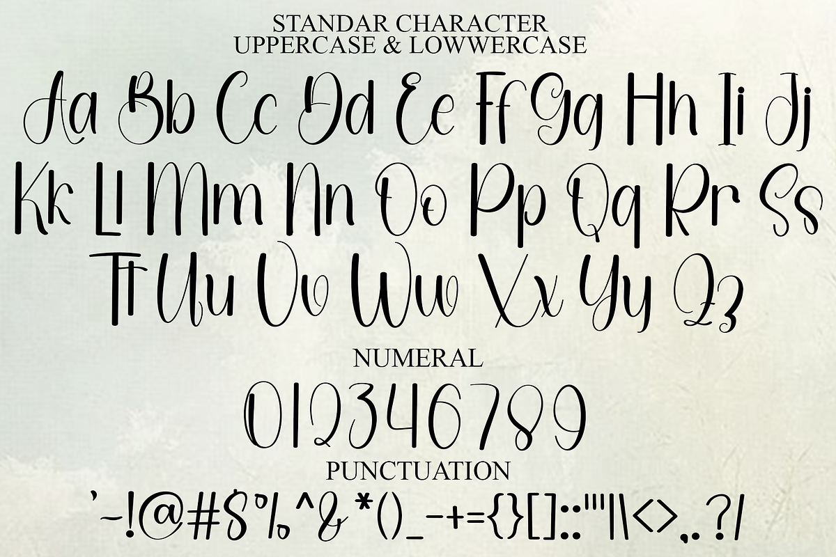 Winter Garden, a Handwritten Font by InermediaSTUDIO (Photo 7 of 8)