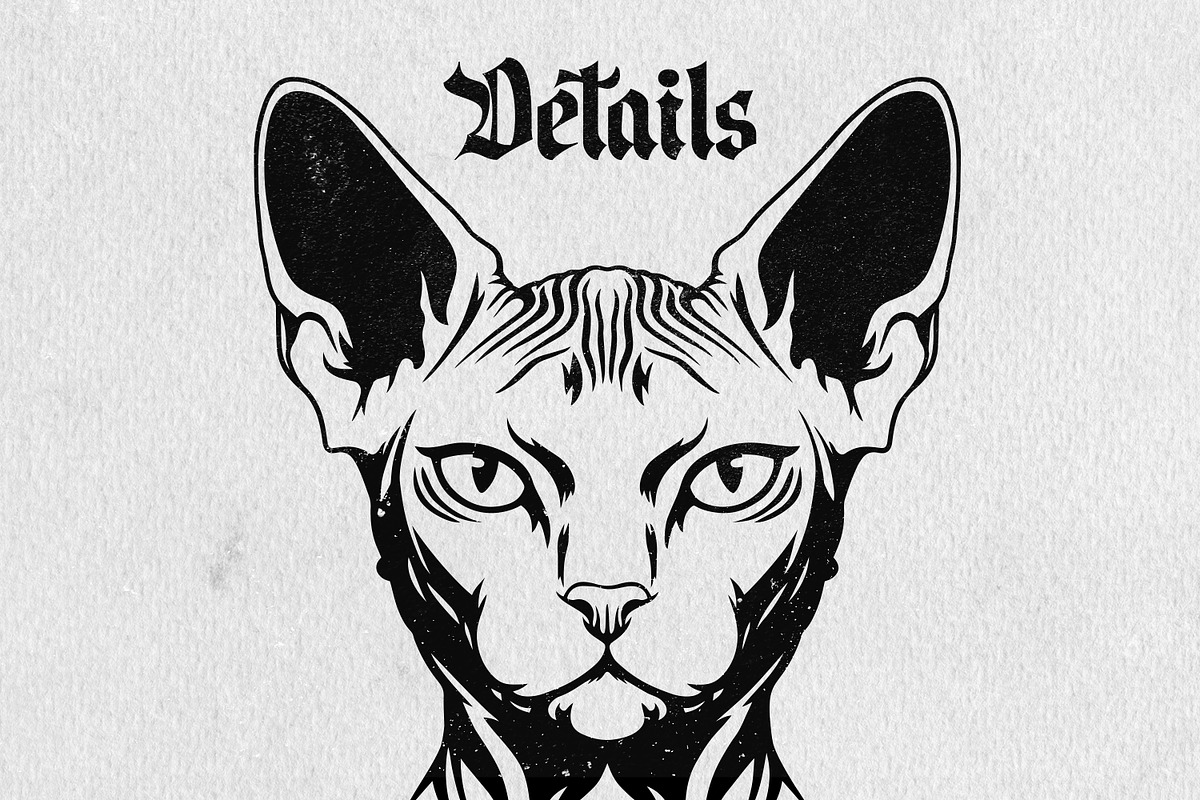Sphynx Cat Illustration Pack, an Animal Illustration by Tekuni (Photo 8 of 14)
