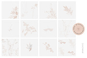 Botanical Bundle watercolor flowers, a Texture Graphic by Anna Sokol (Thumbnail 63 of 89)