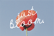 Bloomette Handwritten Script Font, a Handwritten Font by Berdansabersama (Thumbnail 5 of 8)
