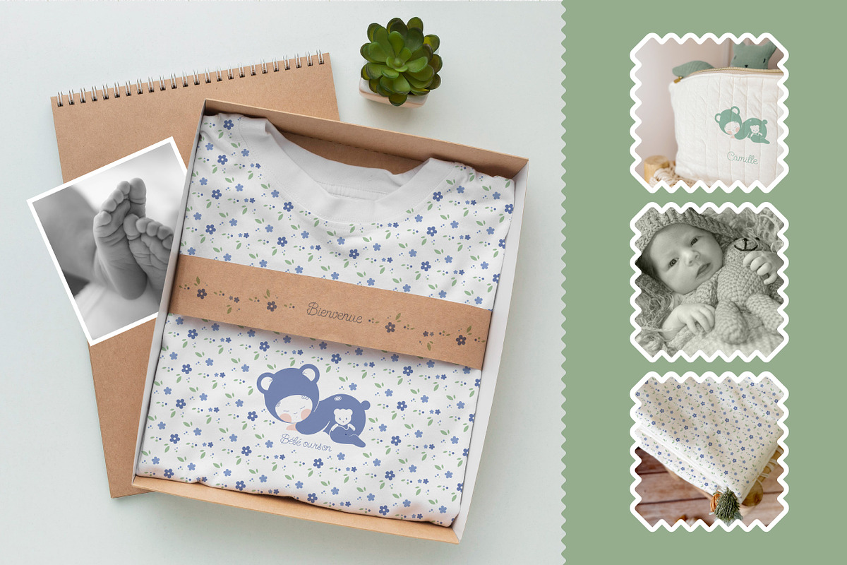 Baby Bear – Vector Illustration, a Decorative Illustration by AnneCeline (Photo 5 of 5)