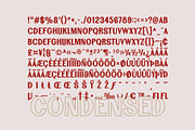 SFC Palmora, a Sans Serif Font by Skilline Supply Co. (Thumbnail 6 of 9)