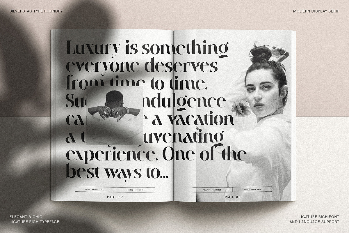 Raving Display Editorial Serif Font, a Serif Font by SilverStag Type Foundry (Photo 24 of 30)