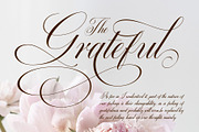Quadrian - Elegant Script, a Script Font by Arterfak Project (Thumbnail 13 of 13)