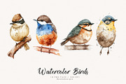 Watercolor Birds I, an Animal Illustration by PeDe Designs (Thumbnail 3 of 5)